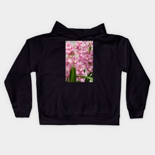 Pink Cymbidium Orchids Kids Hoodie